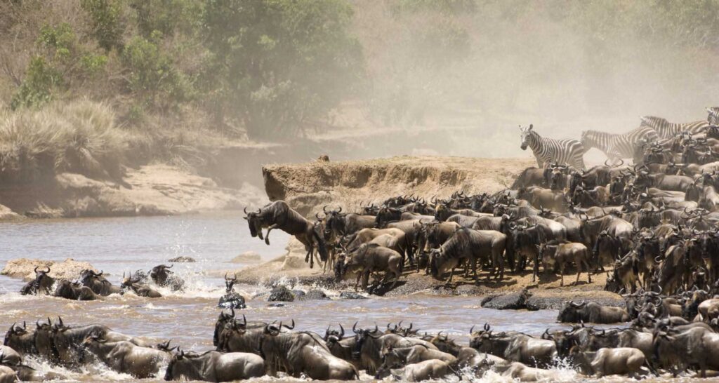 3-day group sharing safari to the Masai Mara