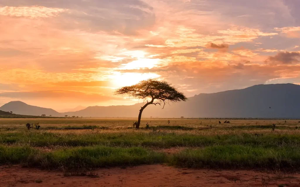 10-day adventure of Johannesburg, Gauteng, Pretoria, Kruger, Makalali Reserve, Cape Town, Stellenbosch, and Franschhoek