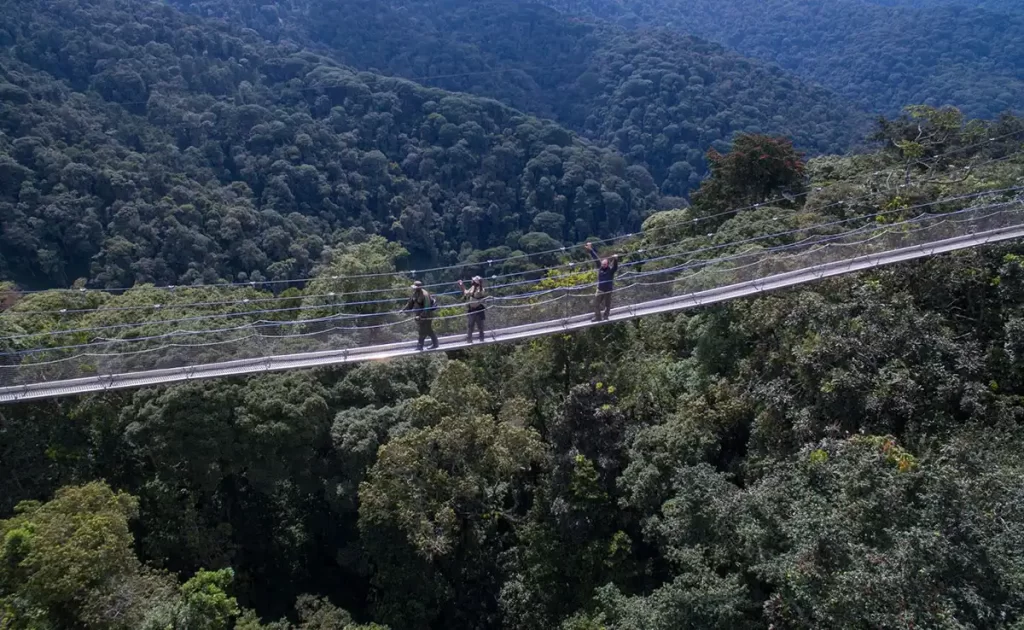 8-day epic tour of Kigali, Nyungwe, and Volcanoes National Parks