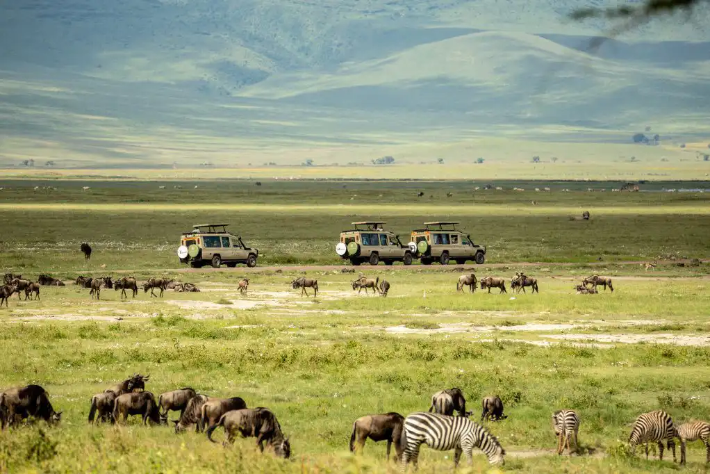 13-day discovery of Tanzania and Zimbabwe: starting in Arusha, Serengeti, Ngorongoro, Karatu, Lake Manyara, Tarangire, and Victoria Falls